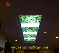 TSC-B962水草玛瑙