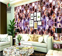 TSC-E8亿年木化石背景墙