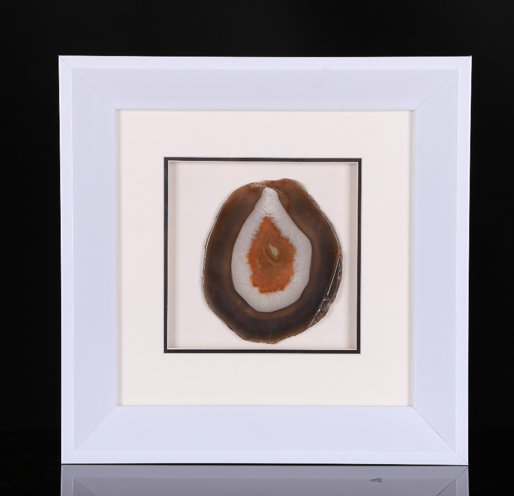 ��觹��հڼ�